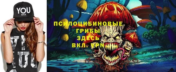 гидра Алексеевка