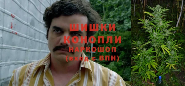 jwh Алзамай