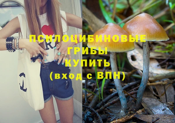 марки nbome Алексин