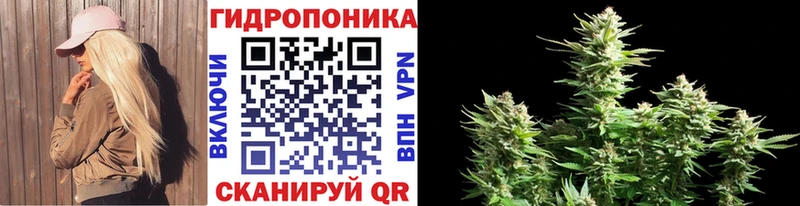 МАРИХУАНА тримм  Змеиногорск 
